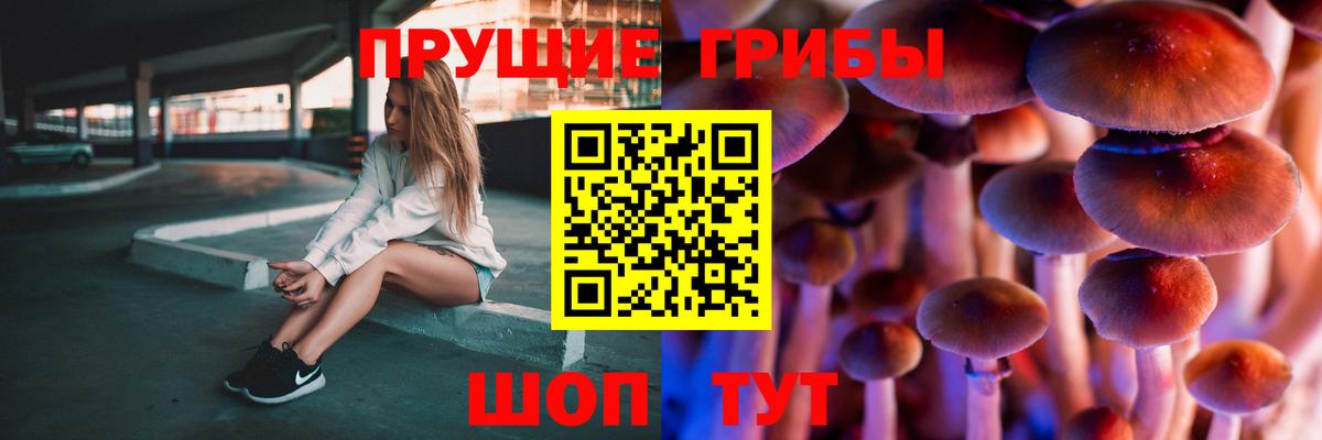 Псилоцибиновые грибы мицелий  Вход с VPN  Псилоцибиновые грибы мицелий  Кудымкар 