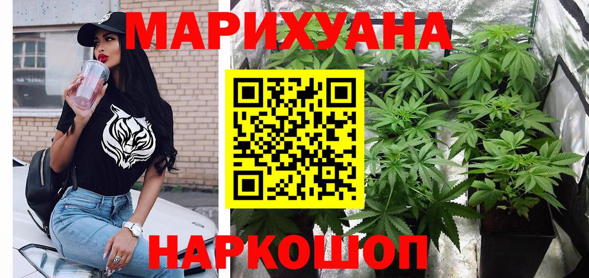 Бошки Шишки планчик Кудымкар